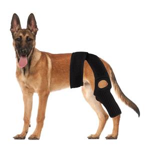 <span class=keywords><strong>Mejor</strong></span> venta perro pierna Brace <span class=keywords><strong>rodillera</strong></span> soporte <span class=keywords><strong>para</strong></span> ligamento desgarro lesiones protección recuperación cuidado de las articulaciones ayuda de rehabilitación de mascotas - Product Image 1