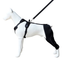 Attelle de genou pour chien, réglable, pour activités extérieures, avec sangle de soutien et protection de jambe pour la récupération