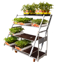 Présentoir en métal personnalisé Bassin de salle de fleurs Type de plancher Multi Viande Rack pour l'affichage