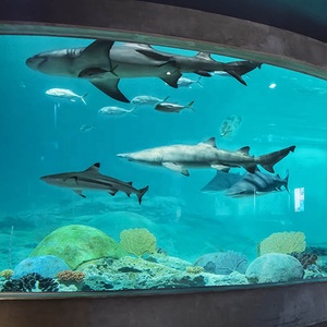 Acquario Cilindrico Trasparente Personalizzato all'Ingrosso, Grande Vasca Rettangolare in Acrilico per Pesci, Design per Acquario Pubblico - Product Image 2