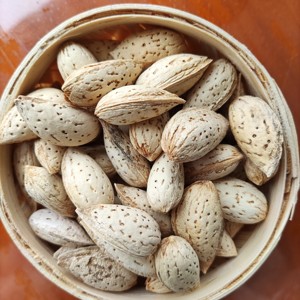 Almendro crudo con Concha, sin agrietar - Product Image 1