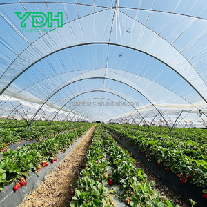 सुरंग ग्रीनहाउस प्लास्टिक फिल्म कवर, 150/200 माइक्रोन, 5 साल Uv प्रतिरोधी - Product Image 6