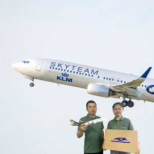 Profession elle billige schnelle Schuh Telefon Dhl Versand agent Luftfracht Spedition von China nach USA UK <span class=keywords><strong>CA</strong></span> DDP - Product Image 1