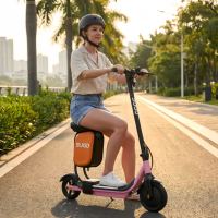Trottinette électrique pliable avec cadre en acier, design étanche, contrôle par application, lumières LED colorées, moteur 350W, construction portable