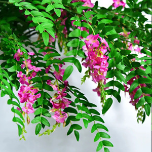 ดอกวิสทีเรียประดิษฐ์ พวงมาลัยดอกไม้ไหมสีชมพูม่วง สำหรับตกแต่งงานแต่งงาน แขวนผนัง เพดาน - Product Image 4