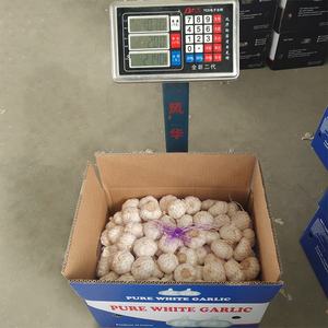 Ajo Fresco Blanco Normal Jinxiang de Nueva Cosecha de China, Bolsas de Malla de 10 kg de Rich Farmer - Product Image 6