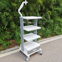 Chariot endoscopique exclusif pour hôpital, organisateur de câbles, roulettes verrouillables et prise intégrée, chariot pour appareil vidéo médical