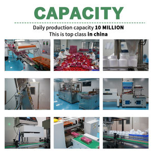 Suplemento Multivitamínico Premium de Alimentos Integrales OEM/ODM de Fábrica con Frutas y Verduras Orgánicas para el Apoyo Diario del Bienestar - Product Image 5