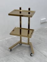 Chariot pliable en acier inoxydable meubles de salon de beauté chariot de salon machine de salon tenant le chariot plateau à outils