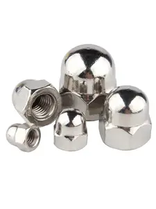 Din1587 M5 304 Stainless Steel Hexagonal Dome Nut Oak Nut