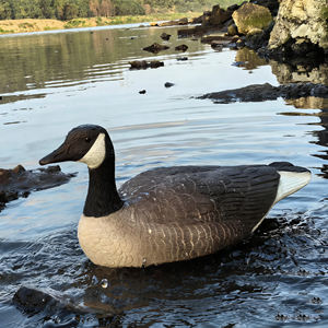 Décoy de canard en EVA à poitrine noire de haute qualité - Décoy en caoutchouc souple pliable léger pour la chasse en gros - Product Image 5