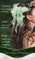 Shampooing Solide 100% Naturel et Bio à l'Effet Romarin, Formule Triangulaire Hydratante à l'Osmanthus et Feuille de Thuja, Ensemble Shampooing et Après-Shampooing Solides