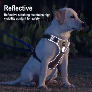Factory Price Hoopet No Strangulation Comfortable Padded Reflective Dog Harness Chest Fit Vest For Pitbull