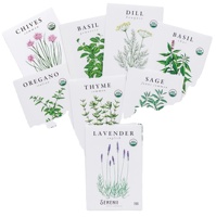 Offre Spéciale bricolage bonsaï fleur jardin Kit galvanisé naturel succulent ensemble extérieur pépinière minimaliste ferme jardinières artificielles