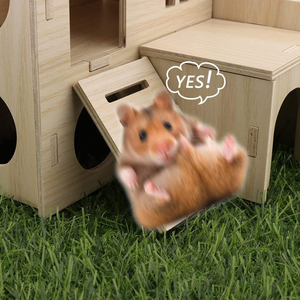 Casa laberinto de madera pequeña para hámsteres: Cabaña de dos pisos con tobogán divertido - Exclusivamente para hámsteres pequeños, gerbillas enanos y ratones pequeños - Product Image 2