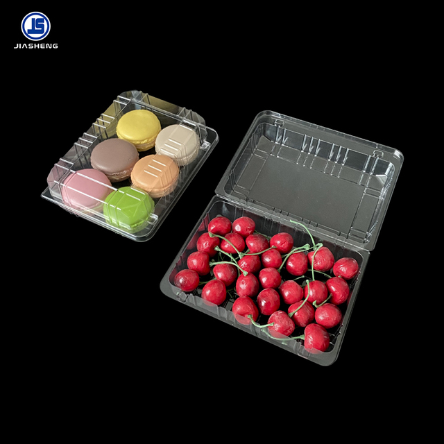 Disposable PET Food Container with Lid for Pastry Bakery for Packaging and Storage