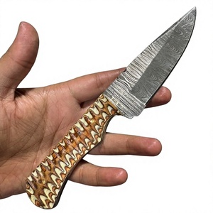 Couteau de survie Rajput DIY à lame fixe Drop Point en acier Damas 20 cm avec manche en bois Pakka bleu pour le camping et la chasse - Product Image 4