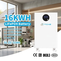 Batterie lithium LiFePO4 16 kWh 51,2 V 314 Ah avec protection IP65, normes CE EU et UKCA, hybride CAN RS485 pour stockage solaire, garantie 10 ans