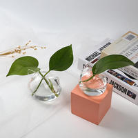 Vase en verre pour la décoration de la maison - Vase à fleurs hydroponique pour plantes vertes de table - Paysage miniature créatif - Mini mignon