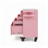 Station de travail multifonctionnelle en acier inoxydable pour tatouage avec 4 tiroirs pour le rangement des outils, chariot de bureau durable pour studio de tatouage