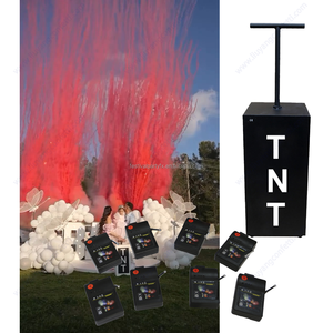 Máy tiết lộ giới tính em bé bằng một cú nhấp chuột, bột khói tiết lộ giới tính, pháo giấy, súng phun khói & bình xịt bán buôn - Product Image 2