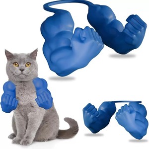 Decorazione del braccio del muscolo di gatto-la decorazione del braccio muscoloso simile <span class=keywords><strong>a</strong></span> un Hulk per gatti-decorazione del dito medio di un gatto - Product Image 1