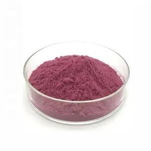 Bulk Grape Seed Extract Antioxidante 95% Opc Antocianina Orgânica Grape Seed Powder