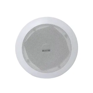 5 "Actieve Plastic Bluetooth Plafondluidspreker Met Klasse-D Versterker En Audiosignaalprocessor