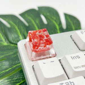 אפוקסי diy שרף keycap שקיפות גבוהה מיובש קטן גיפסופילה פרח מכני מקלדת המקש הסיטונאי - Product Image 3