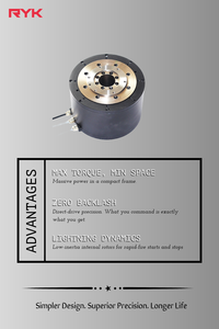 มอเตอร์แรงบิดโรเตอร์ภายในขนาดใหญ่พิเศษ รุ่น RDI-408 (กว้าง 165 มม.-181 มม.) สำหรับงานอุตสาหกรรมหนัก |   มอเตอร์ดีดี - Product Image 5