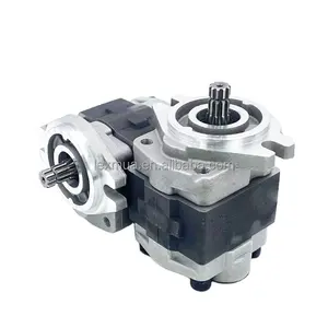 Mini High Pressure High Speed Hydraulic Gear Pump SGP1 SGP2 SGP1-32D2H5-R