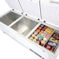 Congélateur coffre profond Rebirth Supermarket pour aliments surgelés, poisson, crème glacée, congélateur commercial à double porte