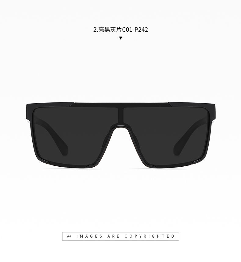 Bright Black Grey Lens C01-P242