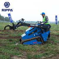Harga Skid Steer Loader RS06 RIPPA Baru yang Laris Manis, untuk Lanskap Kota, Skid Steer Loader Diesel, Skid Steer Loader Semua Medan