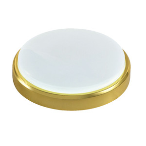 PP + ABS haute qualité bois argent tri-preuve plafonnier blanc noir cloison or ruban lumière Ip54 plafond cloison Luminaire - Product Image 4