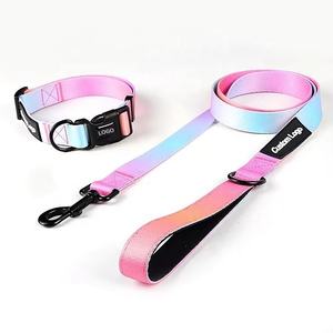 <span class=keywords><strong>Collar</strong></span> y correa de poliéster con estampado de logotipo personalizado para perro, collares de lujo para mascotas, correas para trotar, correr, caminar, correas personalizadas para perros - Product Image 1
