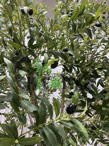 Arbre d'<span class=keywords><strong>olivier</strong></span> artificiel <span class=keywords><strong>de</strong></span> 280 cm (9 pieds) fait à la main, respectueux <span class=keywords><strong>de</strong></span> l'environnement, en <span class=keywords><strong>pot</strong></span> <span class=keywords><strong>pour</strong></span> une utilisation en intérieur/extérieur, hôtels, cafés - Design moderne - Product Image 4