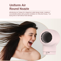 Nouvel Ulelay Multi-Styler 5 en 1 Brosse à Air Chaud Sèche-Cheveux Lisseur 800W Outil Coiffant Multifonctionnel 5 en 1 Multi-Styler