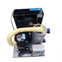 1/3 1/2 hp 1hp bain de glace plongeant refroidi refroidisseur d'eau refroidisseur de refroidissement et machine à pompe pour piscines plongeantes froides d'aquarium