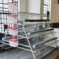 Cages à poules pondeuses WIN, système batterie pour 20 000 poules, élevage avicole, capacité de reproduction sur 4 niveaux, conception directe usine pour usine avicole