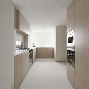 Gabinetes Europeos de Alta Calidad, Diseño Moderno Personalizado, Gabinetes de Cocina con Laca UV para Proyectos de Apartamentos - Product Image 5