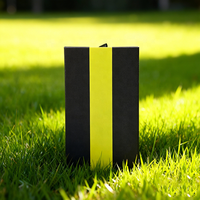 Boîte de cartouches jetables personnalisées de 123 32 75 mm 2 g avec certificat de sécurité pour les enfants