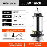Pompe à eau domestique 220V en acier inoxydable, pompe agricole pour eaux usées, pompe de lavage de voiture, pompe de puits profond