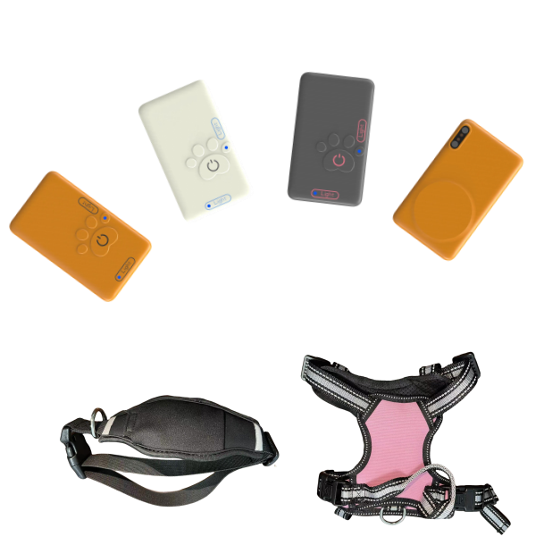 OEM ODM Smart Pet GPS Tracker Health Monitoring Dog 4G WiFi Real Time Location Anti-lost Waterproof Collar With Virtual Fence