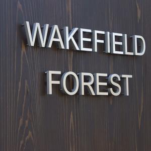 FF tùy chỉnh nghệ thuật Thiết kế kim loại 3D Logo cửa hàng dấu hiệu phía trước chiếu sáng cho dấu hiệu kinh doanh ngoài trời dector - Product Image 3