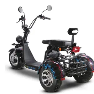 Adult C1 Tricycles USA scooter electric e motorcycle electric for kids mini 3 wheel seev woqu 2000w citycoco spare parts seat