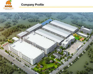 Fabriqué en Chine 30 g propre marque bébé croustilles saveur de tomate collation exotique de haute qualité - Product Image 5