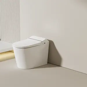 Portable Smart Intelligent Toilet Smart Bidet Woman WC Toilet