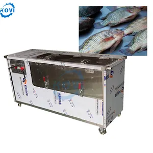 Machine domestique à écailles de poisson tilapia, nettoyeur d'écailles de poisson, détartreur de nettoyage, prix de la machine