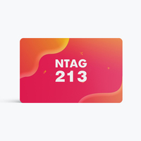 Format NDEF inscriptible URL programmable sans contact NFC carte de visite numérique NFC 213 215 216 cartes